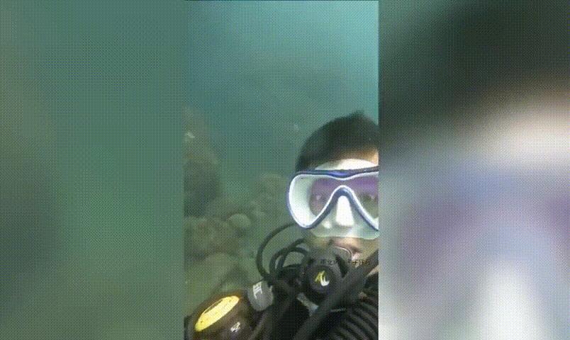 海底奇观欣赏,海底世界奇妙之旅图片