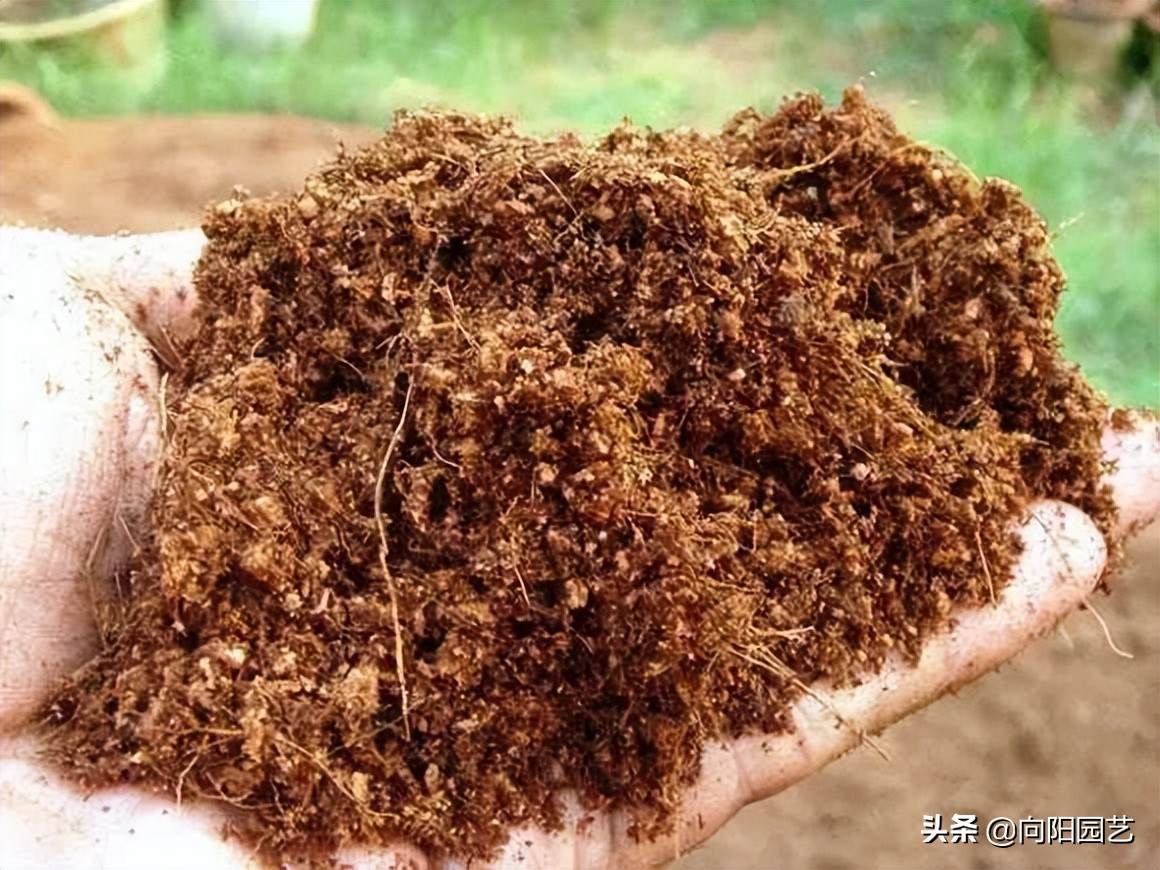 椰糠贵吗,椰糠土价格