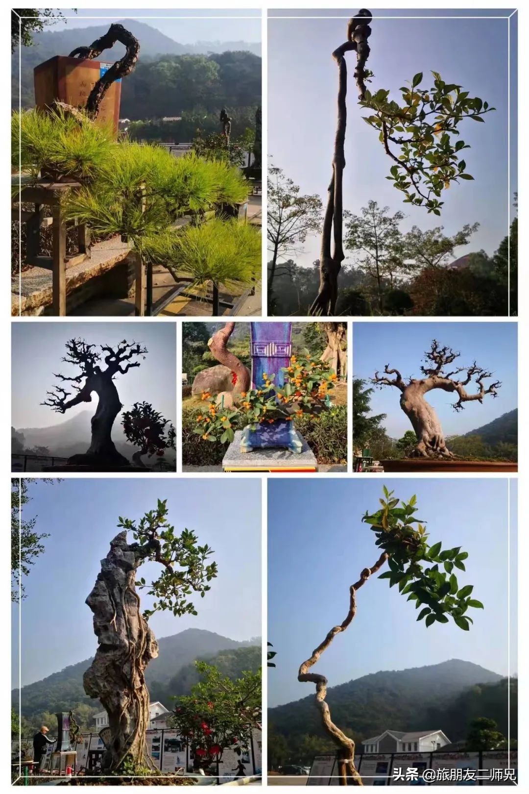 广州中山五日游攻略,广州出发江门2天一夜自由行攻略