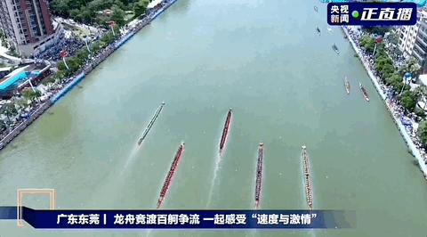 龙舟能盈利吗,龙舟发展情况