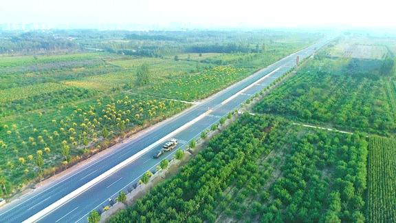 枣强森林公园和千亩森林公园,衡水枣强县天然氧吧