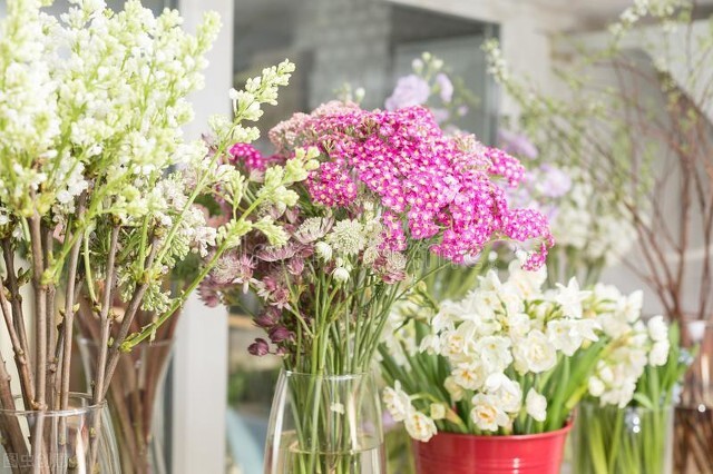 开花店新手怎么入行,新手开花店需要准备多少钱