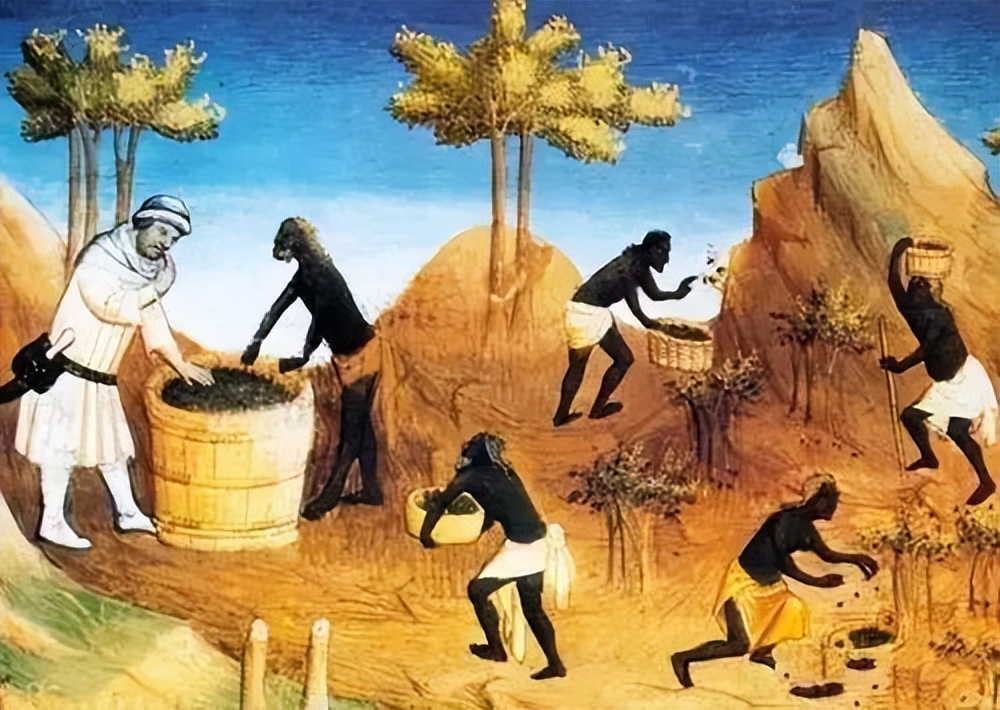 古代贸易的香料,古代进口香料有哪些