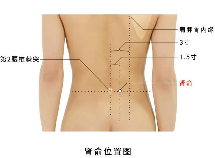 后背长小米粒的原因和解决方法,夏天后背长小米粒是什么原因