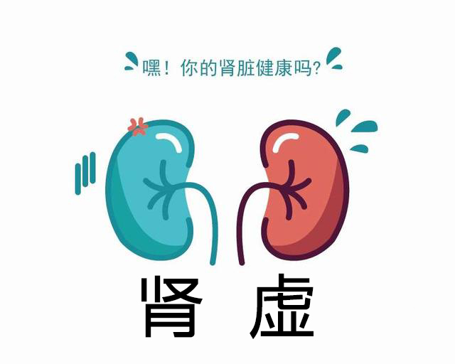 脾肾阴虚双补的千年古方,老肾阴虚中医补肾方首次揭秘