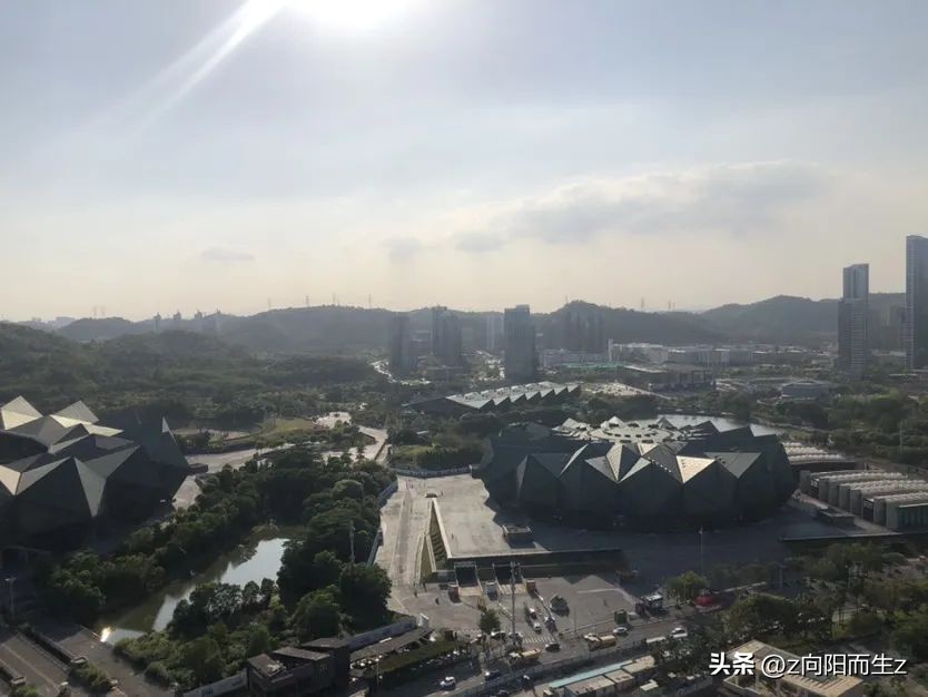 龙岗星龙园,大运星龙园