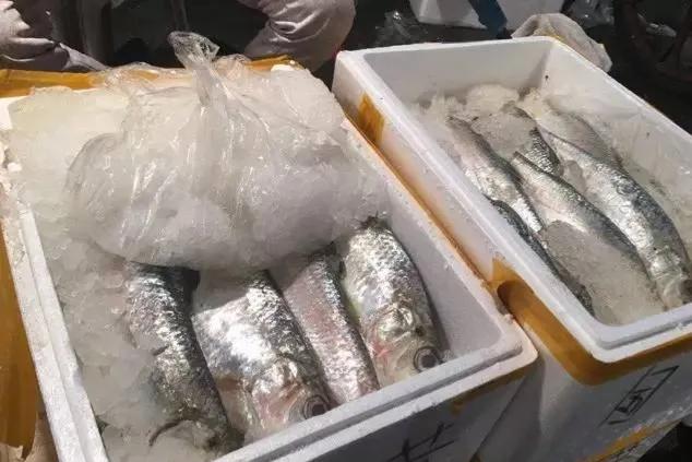 鱼类食材大全名称图片,鱼类菜谱大全100种