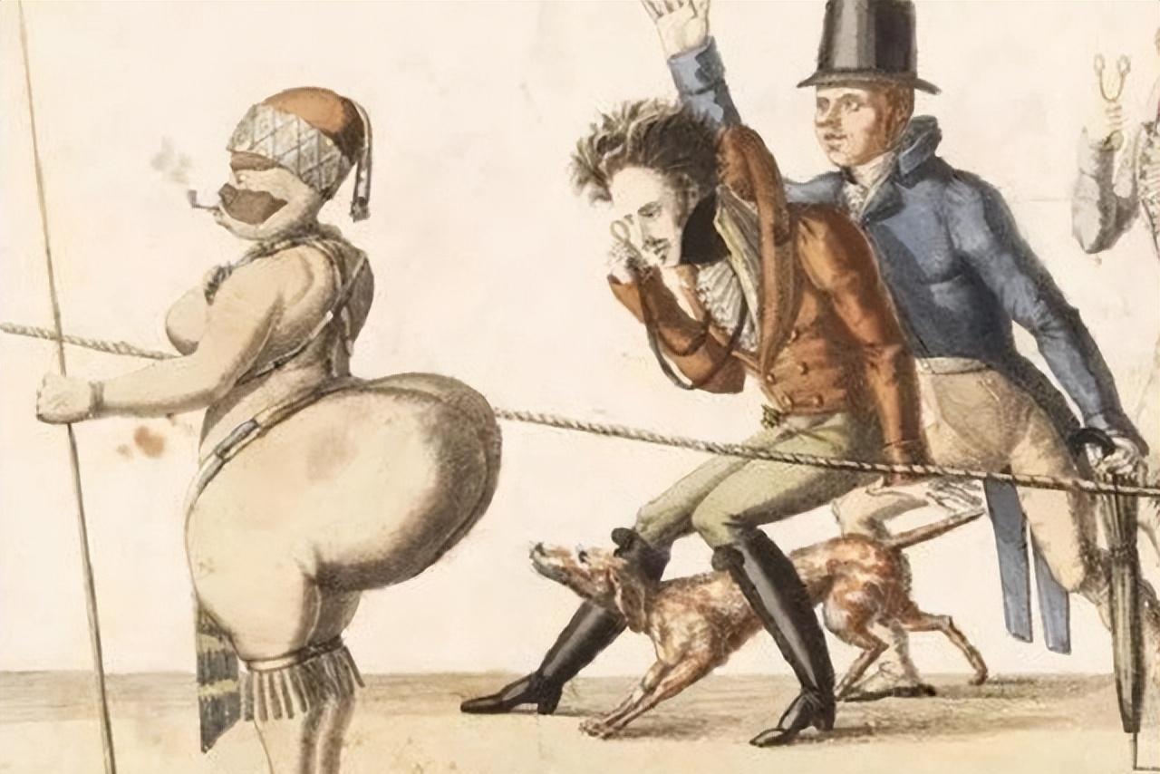 巨臀女孩：裸体展览与标本命运