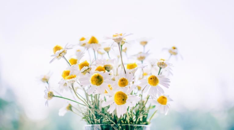 父母去世后，兄弟姐妹最好的相处方式，就是“三七定律”