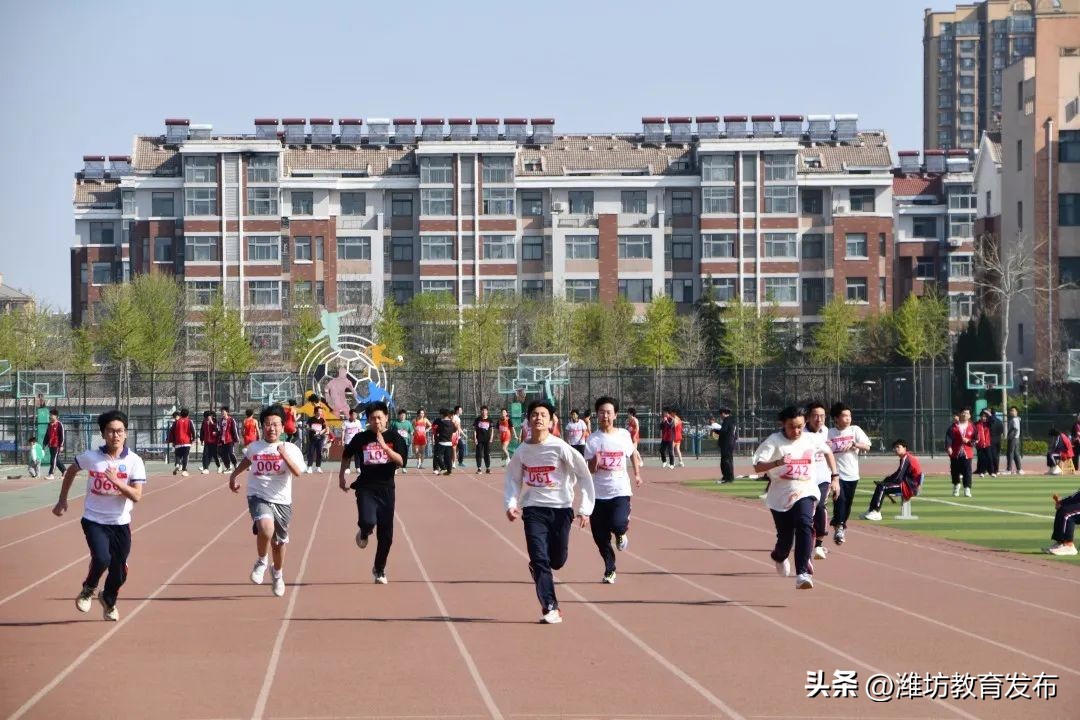 新闻周播报素材,周播报