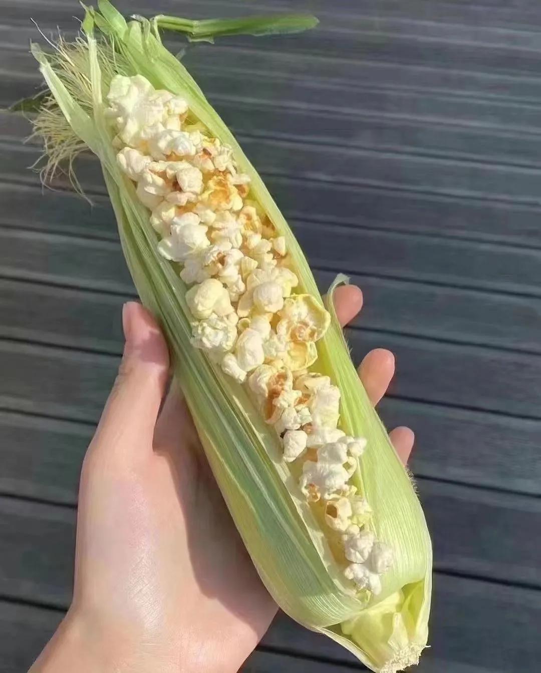 夏天热疯了搞笑图片,炎热的搞笑图片图文