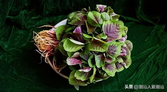 汕头天价粿条面,汕头天价粿条汤原视频