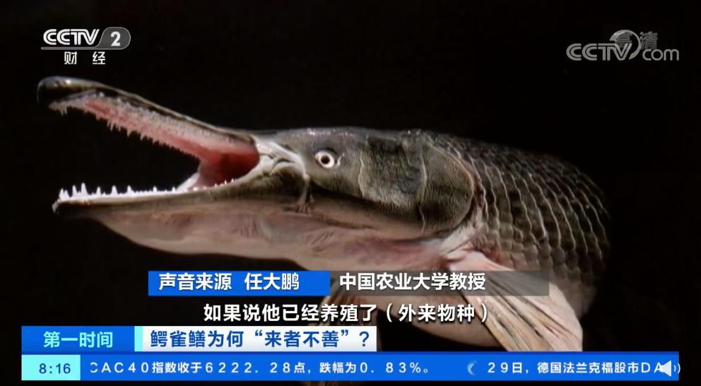 那些胡乱放生的人,那些放生的人都怎么想的