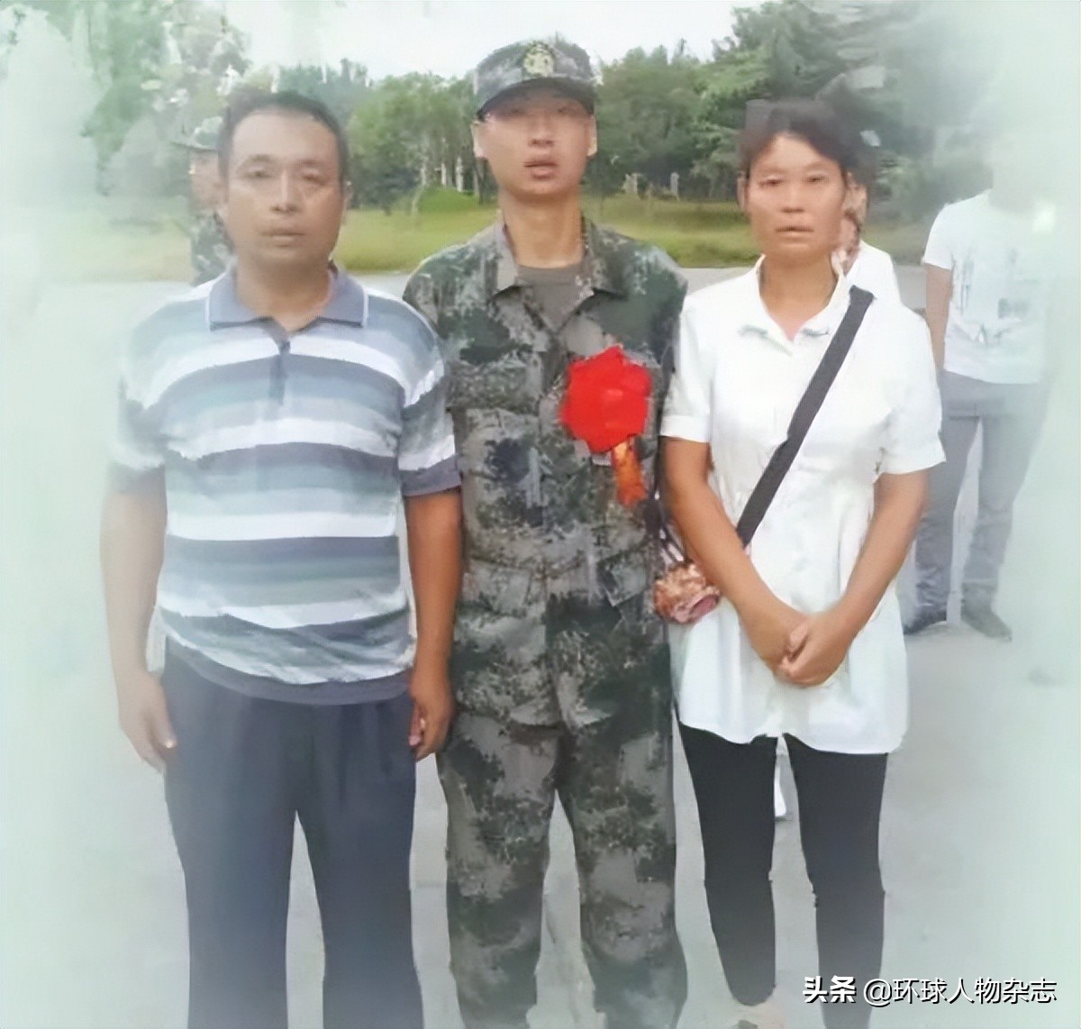 烈士母亲一人收麦子,烈士母亲割麦子