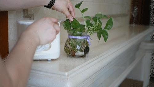 全家人的深层口腔清洁保障，OcareLink智能家庭款冲牙器