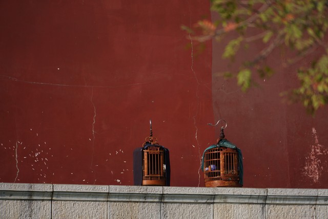 棋牌王的苦恼（短篇小说）