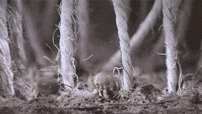 卫生间智能加热毛巾架,免打孔卫生间毛巾架电加热