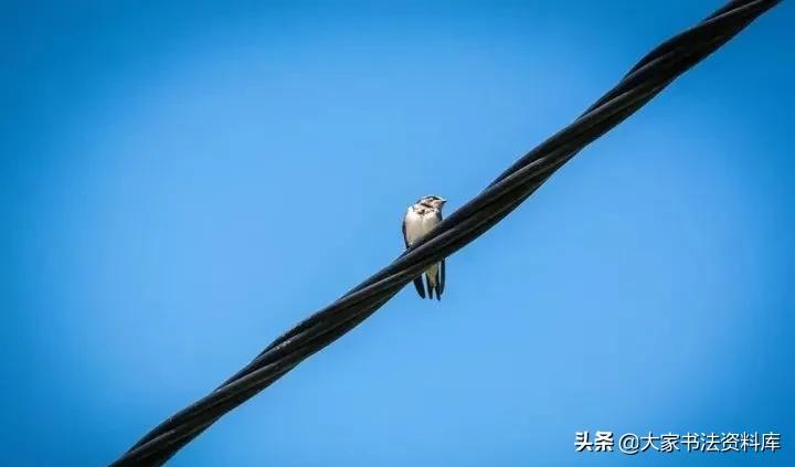 书法为什么横画不如竖画用力,书法横为什么总是斜的