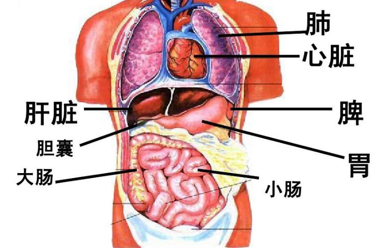 核辐射死掉了多少人,核辐射死亡真实事情