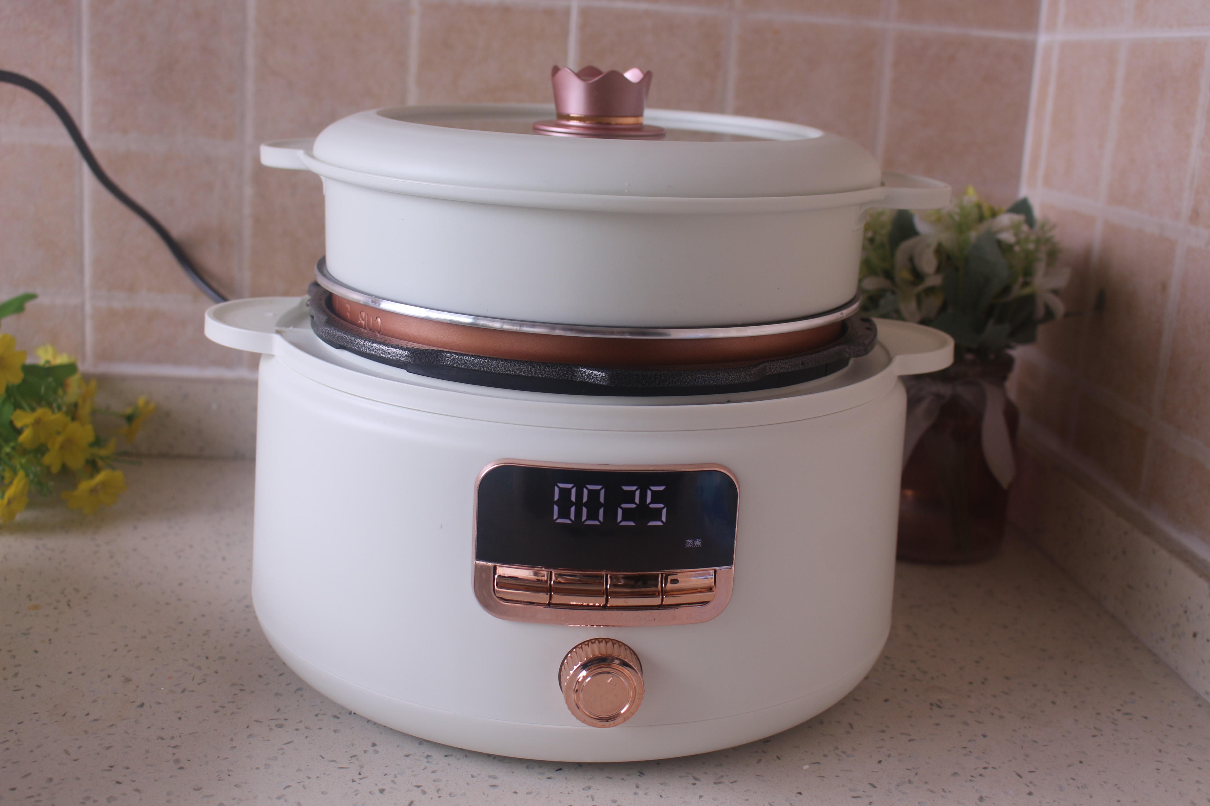 网友推荐口碑最好的电压力锅,电压力锅点评