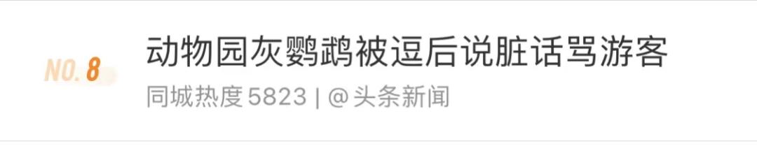 动物园鹦鹉飙脏话保育员引导,云南野生动物园内鹦鹉飙脏话