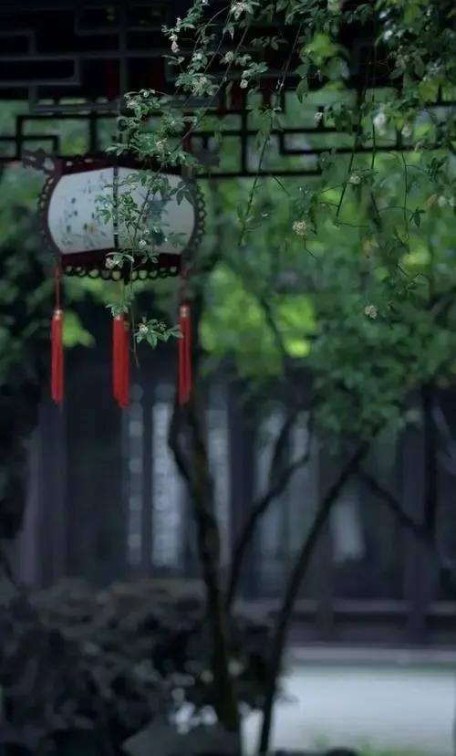 鏃跺厜娓呮祬宀佹湀鎮犵劧,宀佹湀娓呮祬鏃跺厜鎮犵劧