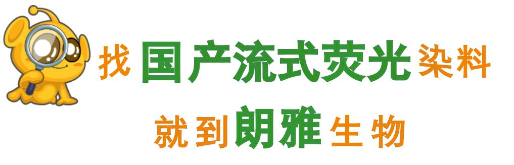 流式细胞检测结果怎么看,流式细胞仪检测查什么