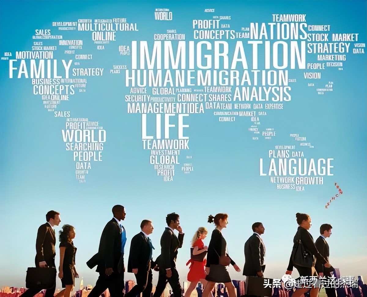 2019年新西兰技术移民通过率,澳洲提高配额