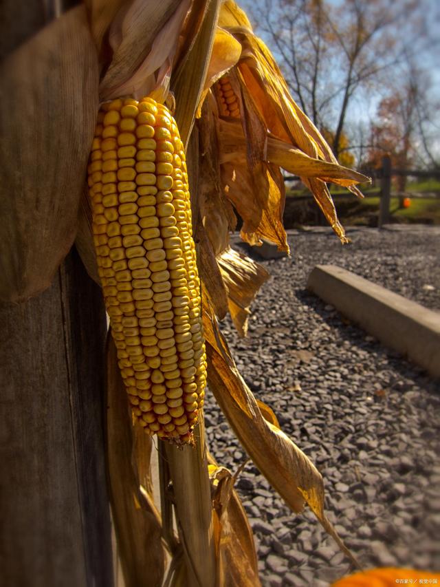 推荐一款数码相机,推荐一款实用相机