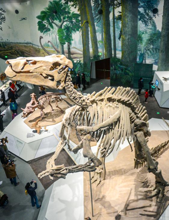 打卡山东博物馆和大明湖,山东博物馆打卡攻略