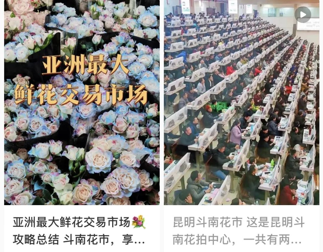 云南人考上清华北大,云南逆袭崛起