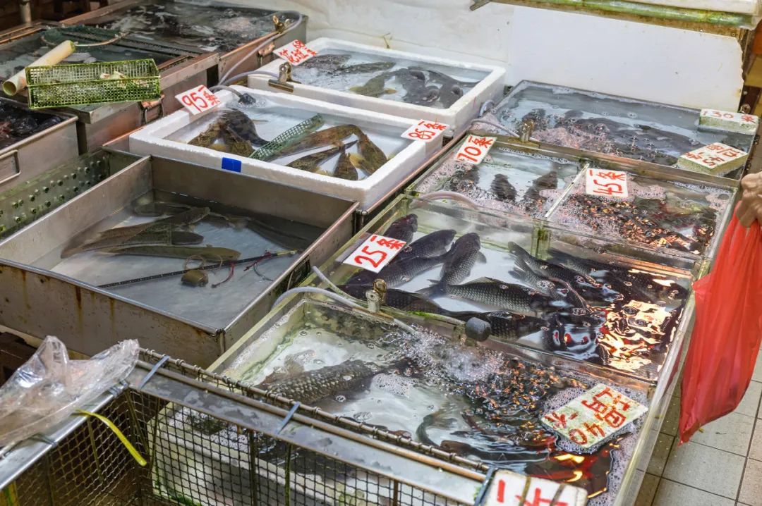 谣言粉碎机上的视频,谣言粉碎机事件