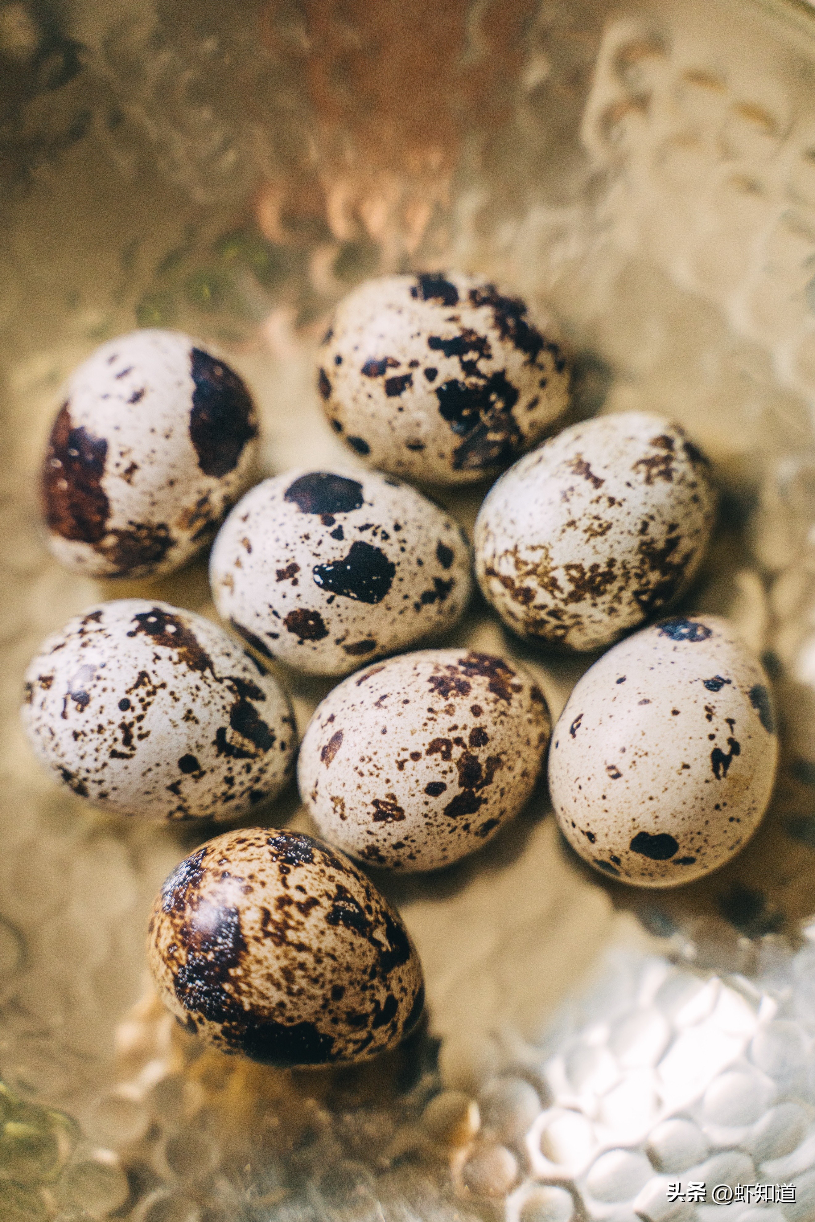 哪种蛋白质对人体最有营养,哪种蛋营养高质量高