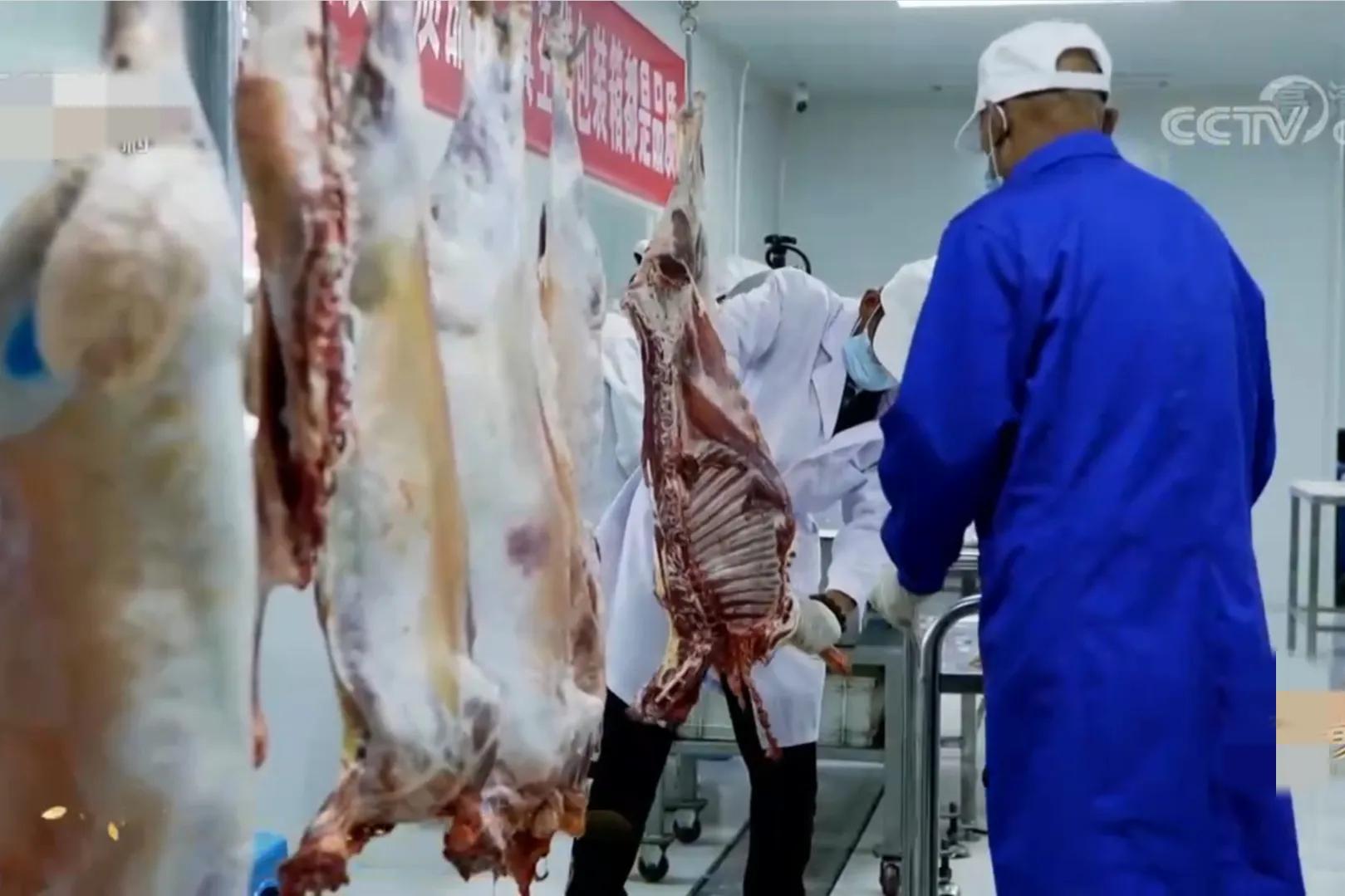 小伙承包80亩土地变成基本农田,农村小伙承包300亩地