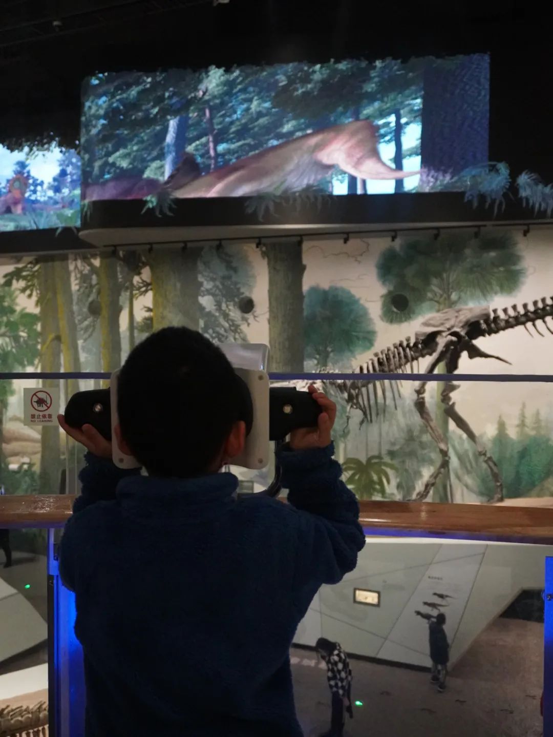 打卡山东博物馆和大明湖,山东博物馆打卡攻略