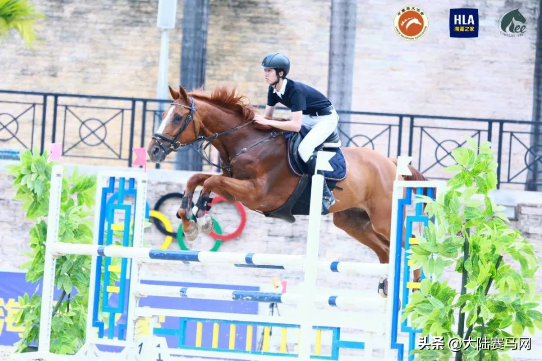 沈阳东骏青奥马术俱乐部有限公司,沈阳东骏青奥马术