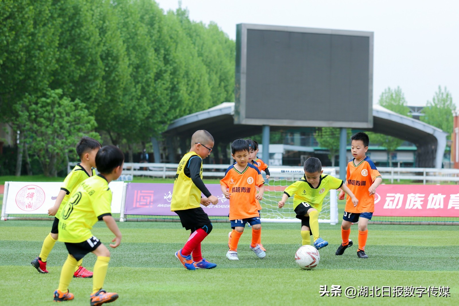 幼儿园孩子足球踢门比赛,幼儿园小朋友踢足球比赛视频