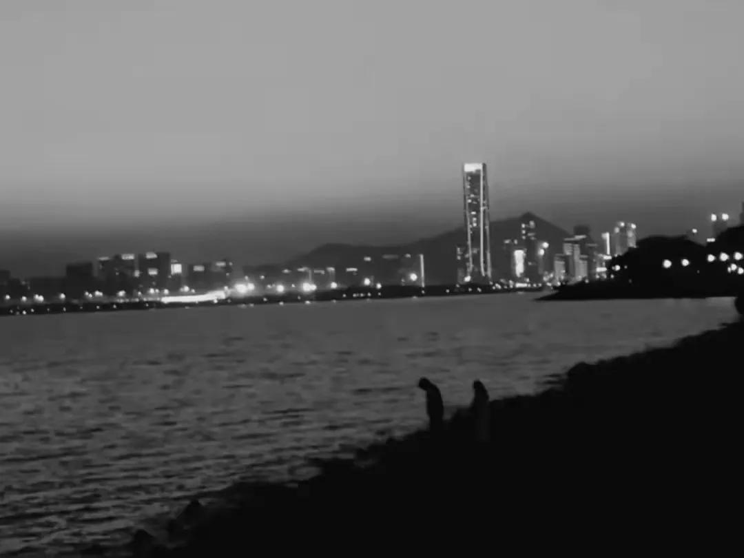 一个年轻人站票到深圳，再到深圳买房买车站住脚跟