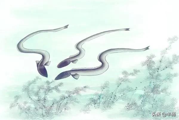 蛇为什么吃黄鳝那么难,为什么说蛇吃黄鳝是在找死