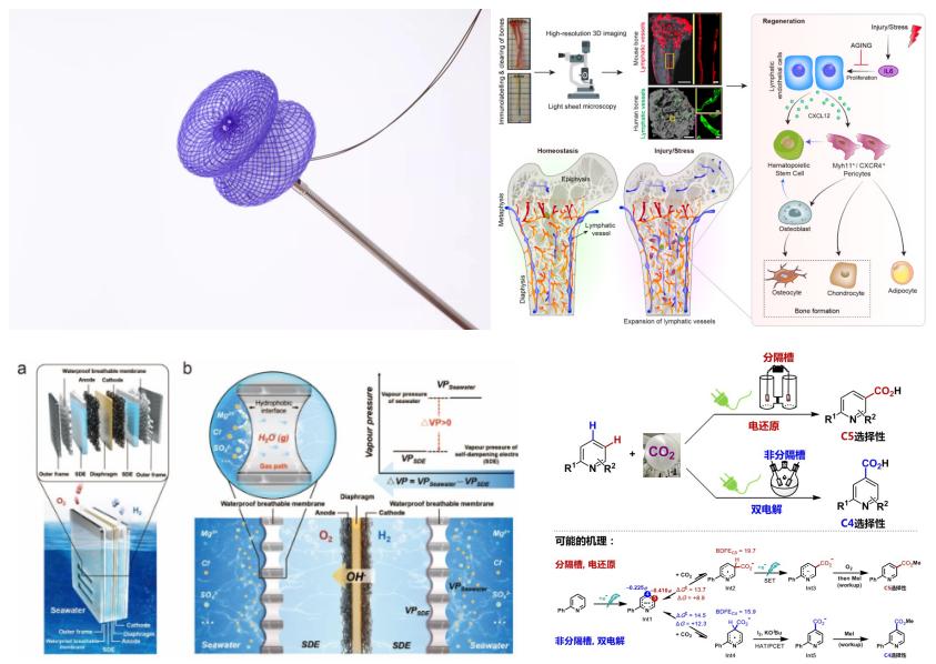 惊鸿一瞥，光影成川！四川大学：聚五湖之光于西南，耀天府之光于四海！