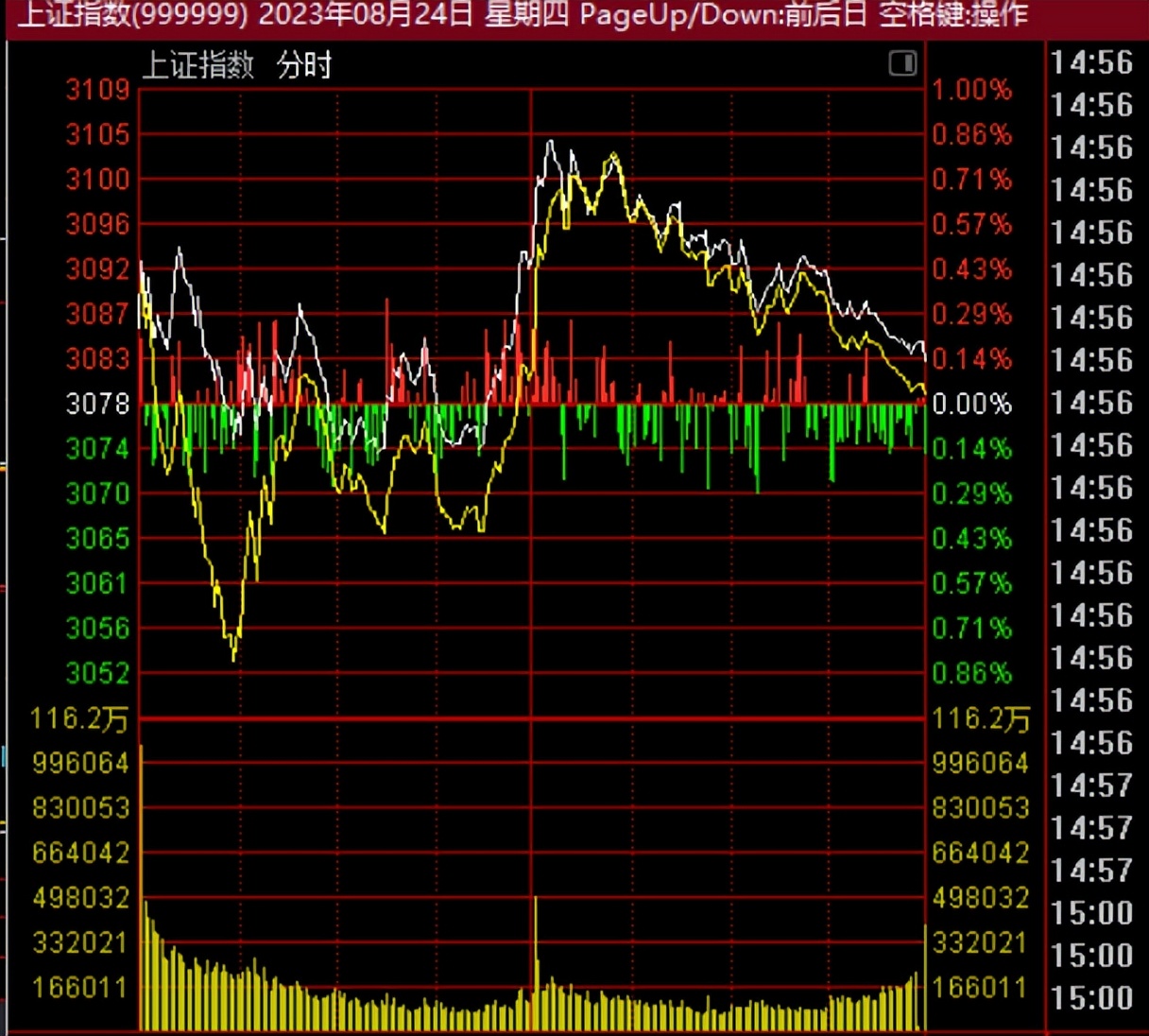 大吃肉合集,大吃肉名场面