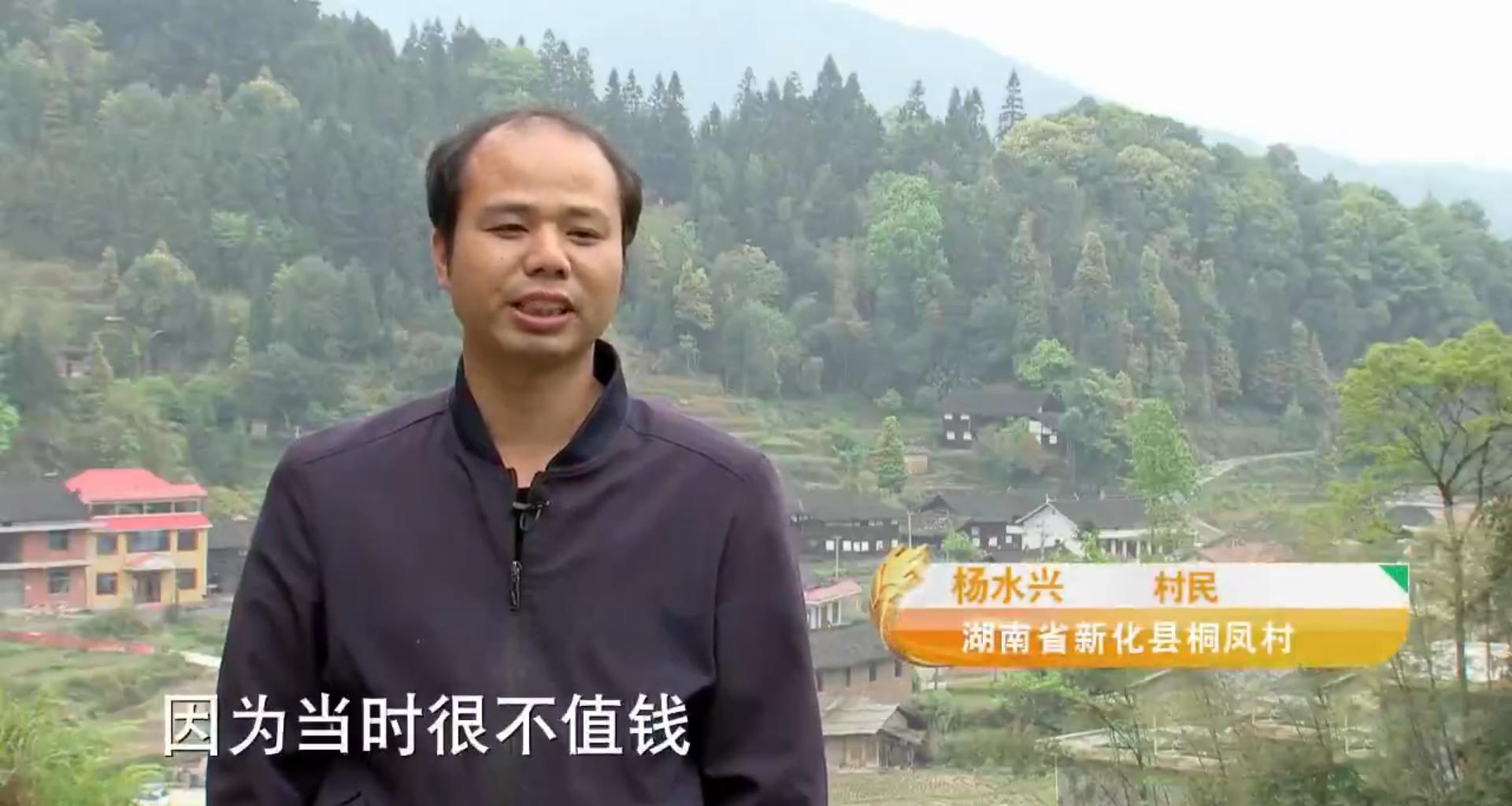 买这种野草一年赚200万 (一年赚200万的野草)