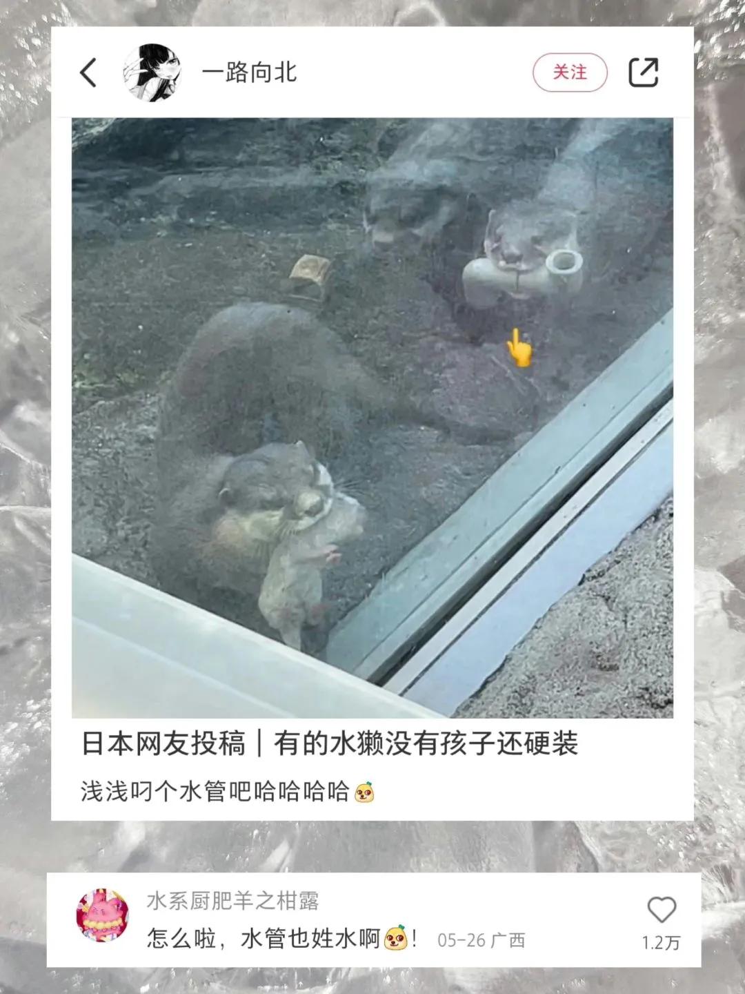 神评论最高的搞笑图片,盘点热门搞笑图片