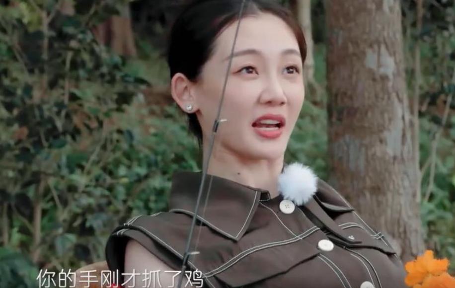 郑恺苗苗究竟有多精明,苗苗郑恺善解人意