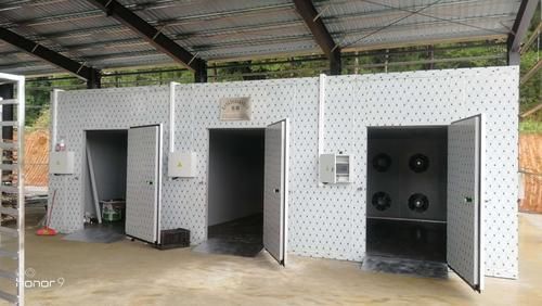 萝卜丝专用烘干机,萝卜干烘干设备