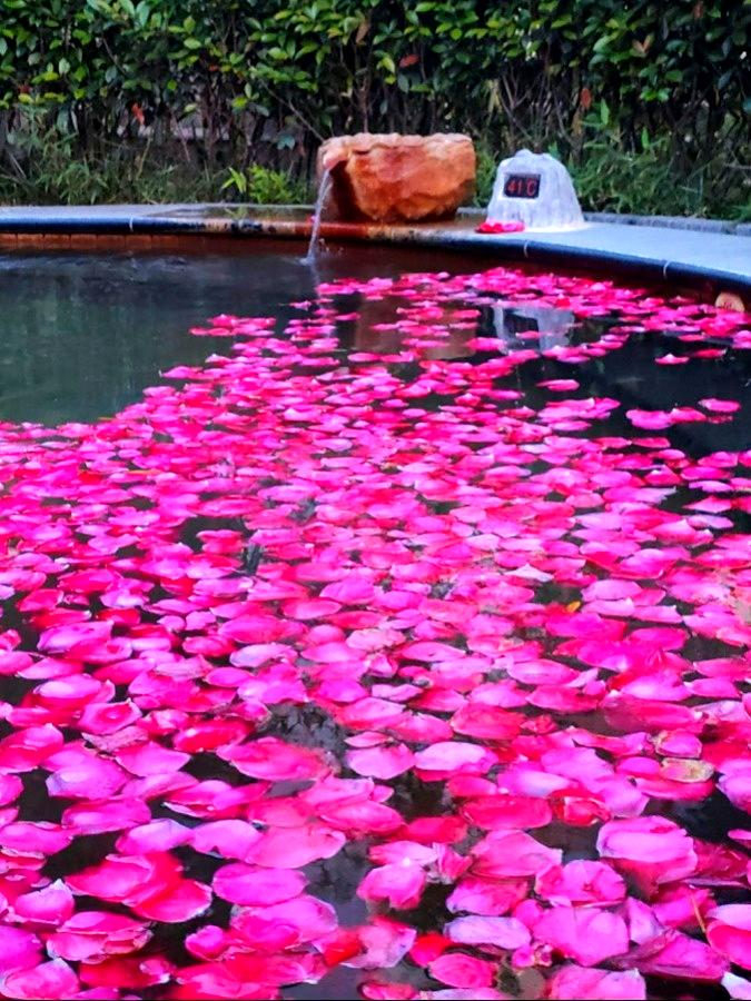 教师节温泉免费,温泉教师节免费