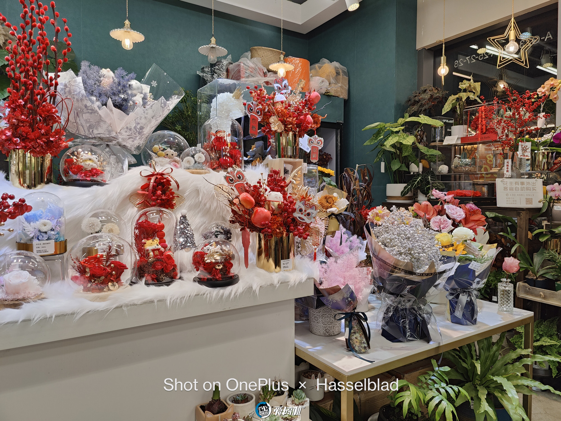 一加10pro对比苹果13,一加10pro和小米mix4