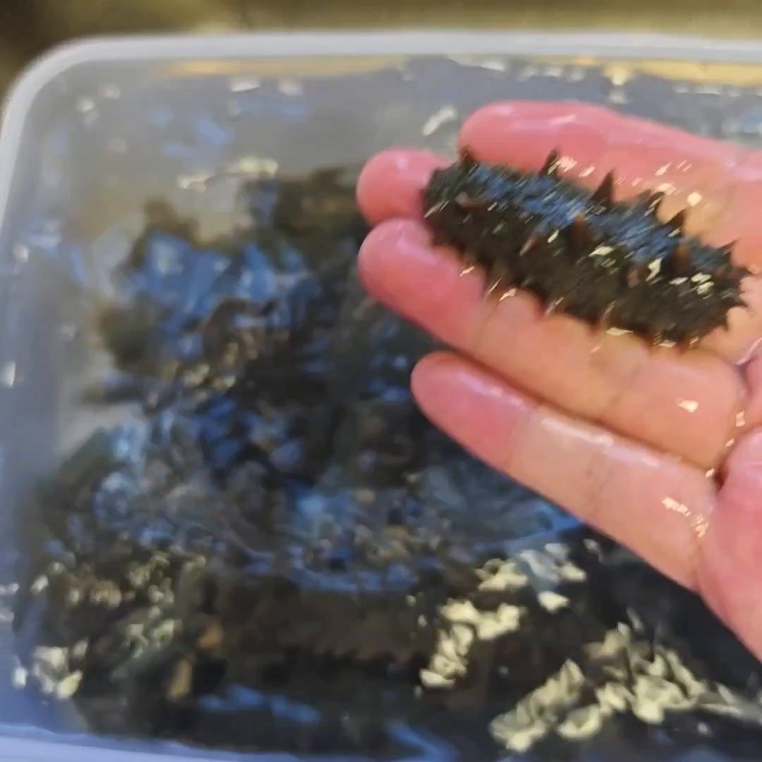 天津张姐海参,张姐海参