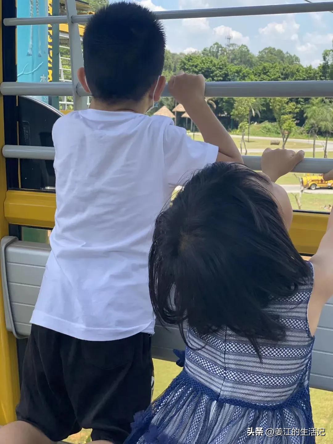 广州长隆野生动物园最好攻略,最近广州长隆野生动物园攻略