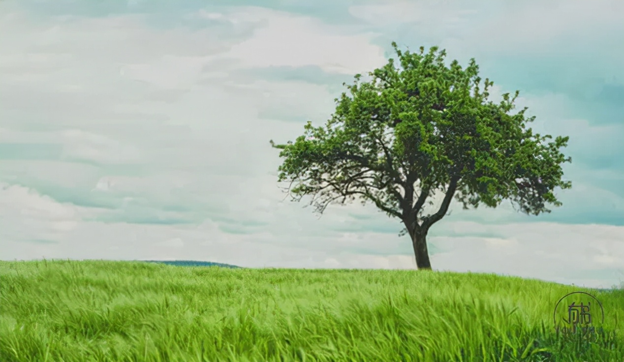 吴承恩曹雪芹四大名著,曹雪芹和吴承恩